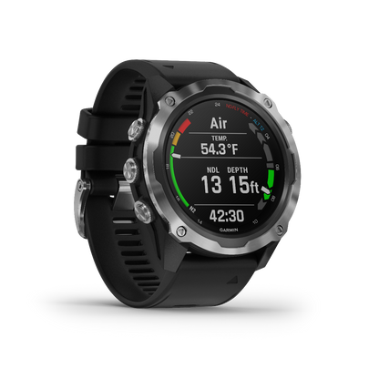 Garmin Descent Mk2 Stainless Steel with Black Band