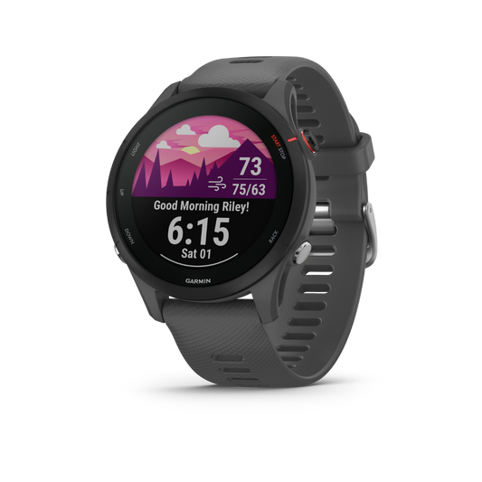 Garmin Forerunner 255  Slate Gray