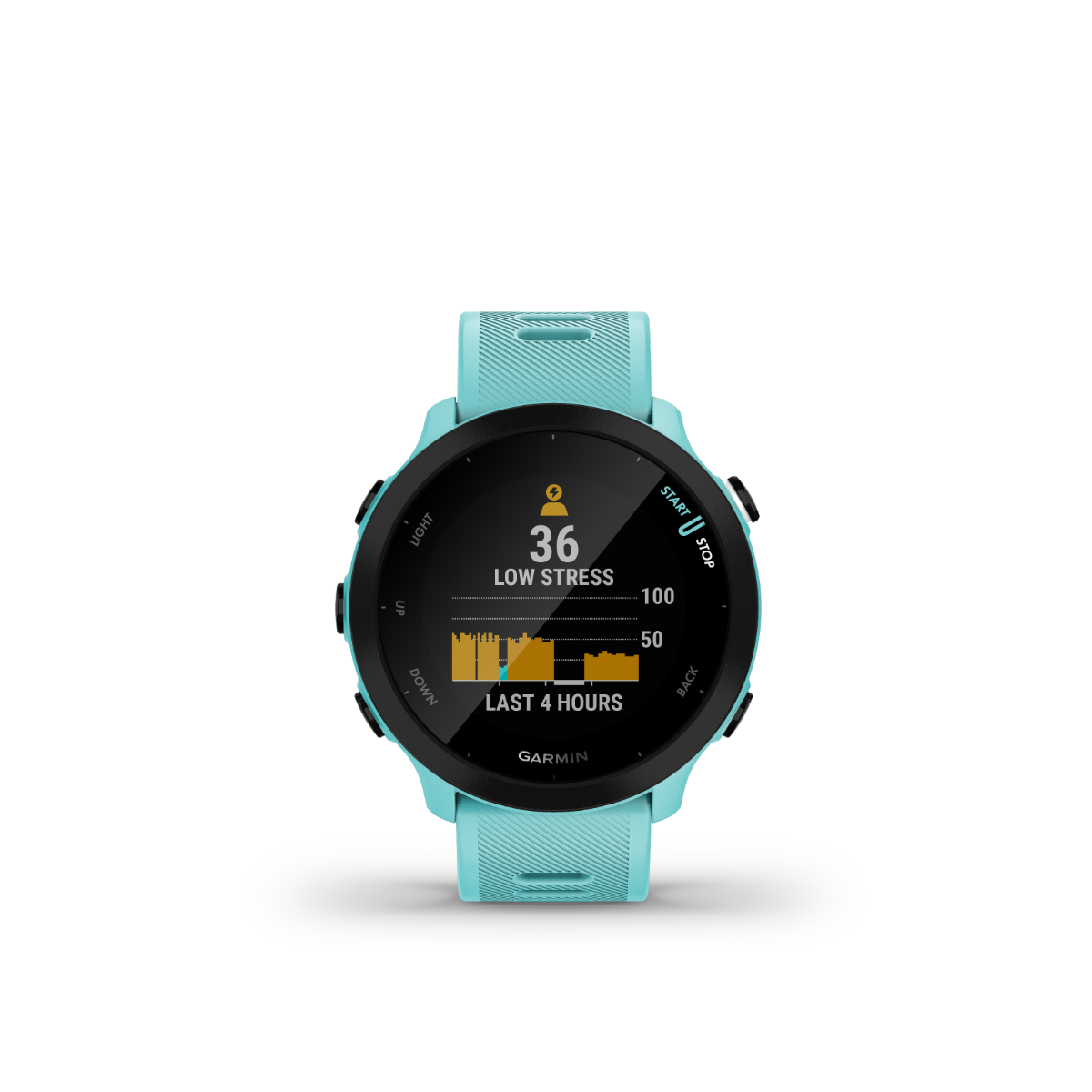 Garmin  Forerunner 55 - Aqua