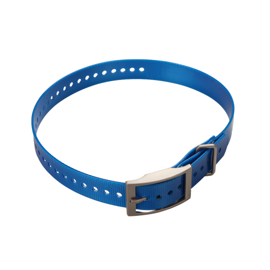 Garmin 1-inch Collar Strap (Blue, Square Buckle)