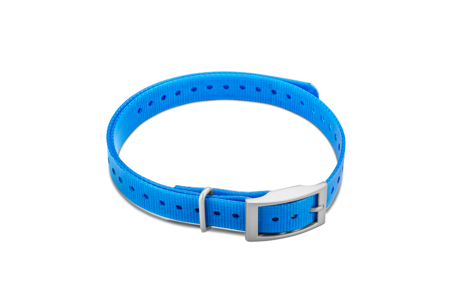 Garmin 3/4-inch Collar Strap (Blue, Square Buckle)