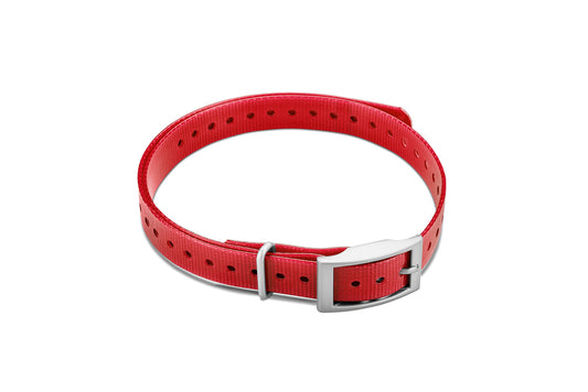 Garmin 3/4-inch Collar Strap (Red, Square Buckle)