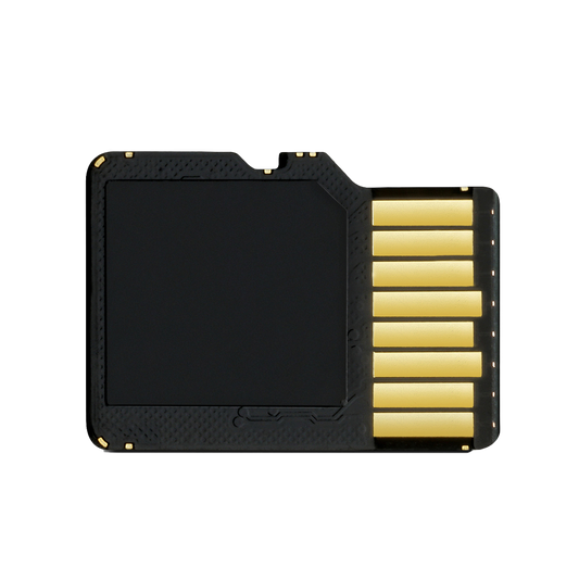 Garmin 8 GB microSD Card with SD Adapter