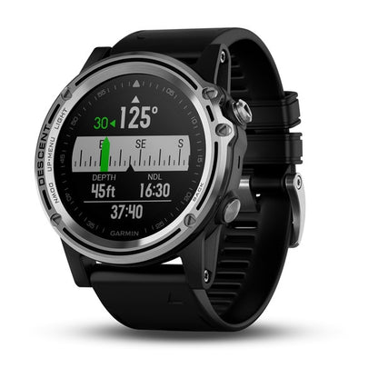 Garmin Descent Mk1 Silver w/Black Band