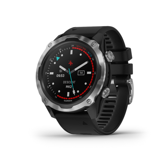 Garmin Descent Mk2 Stainless Steel with Black Band