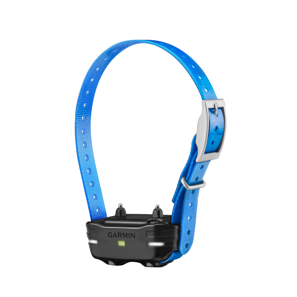 Garmin PT 10 Dog Device (Blue Collar Strap)