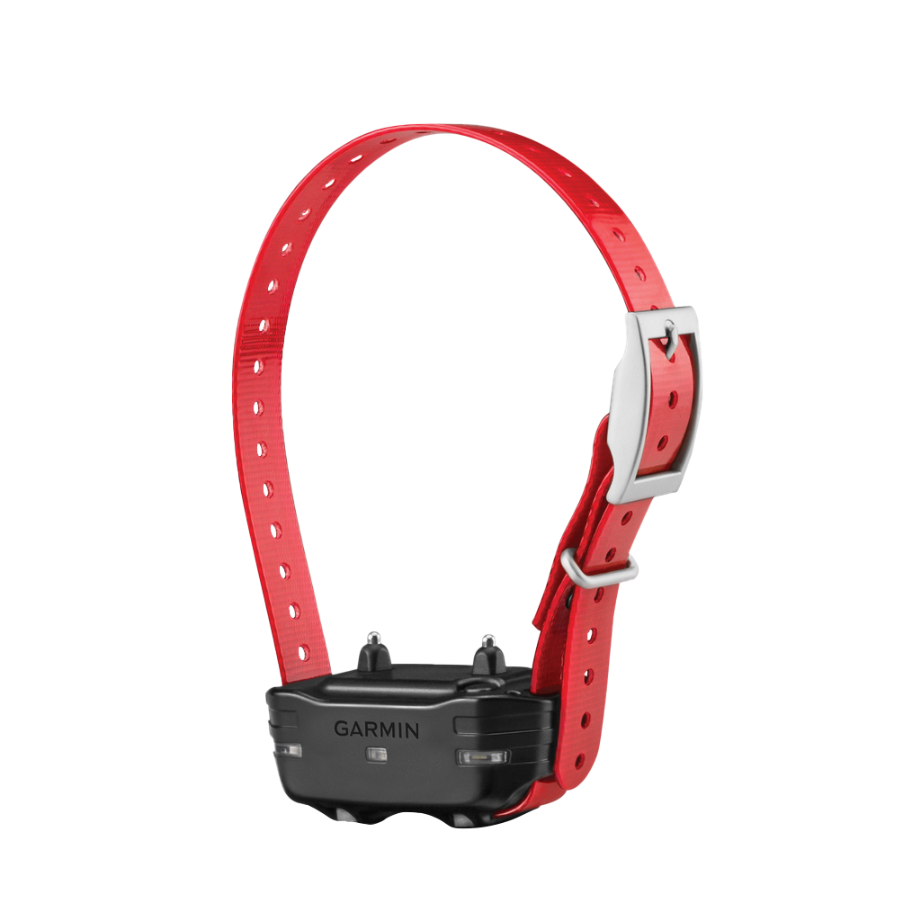 Appareil pour chien Garmin PT 10 (sangle de collier rouge)