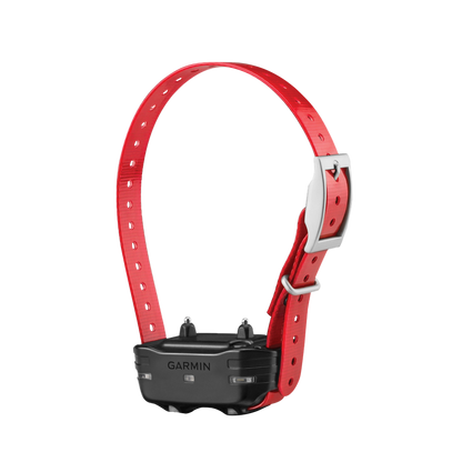 Appareil pour chien Garmin PT 10 (sangle de collier rouge)