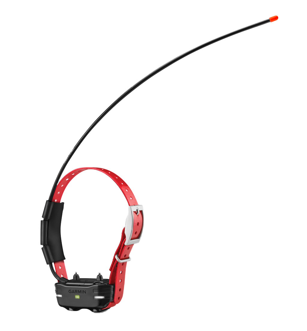 Appareil pour chien Garmin TB 10, collier rouge (fonctionne avec PRO Trashbreaker)