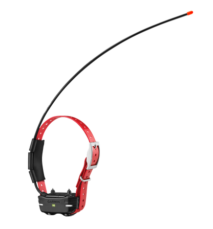 Appareil pour chien Garmin TB 10, collier rouge (fonctionne avec PRO Trashbreaker)