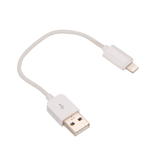 Garmin USB Type-A to Apple Lightning Adapter Cable