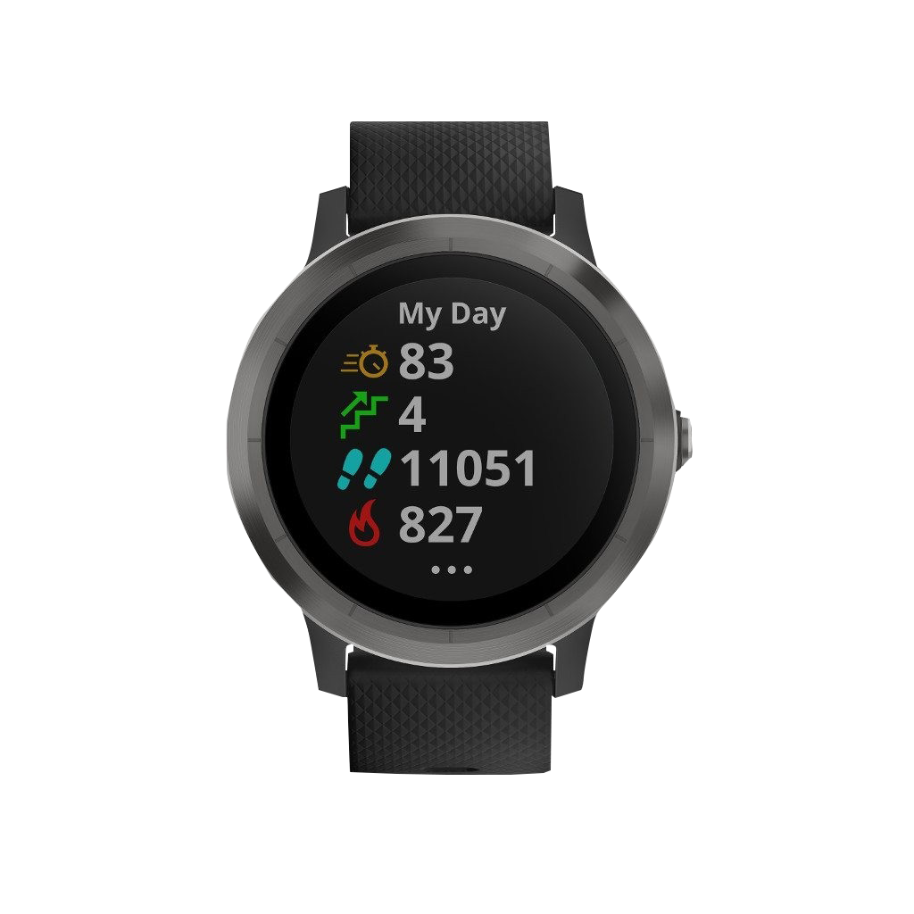 Garmin vivoactive 3 slate black online