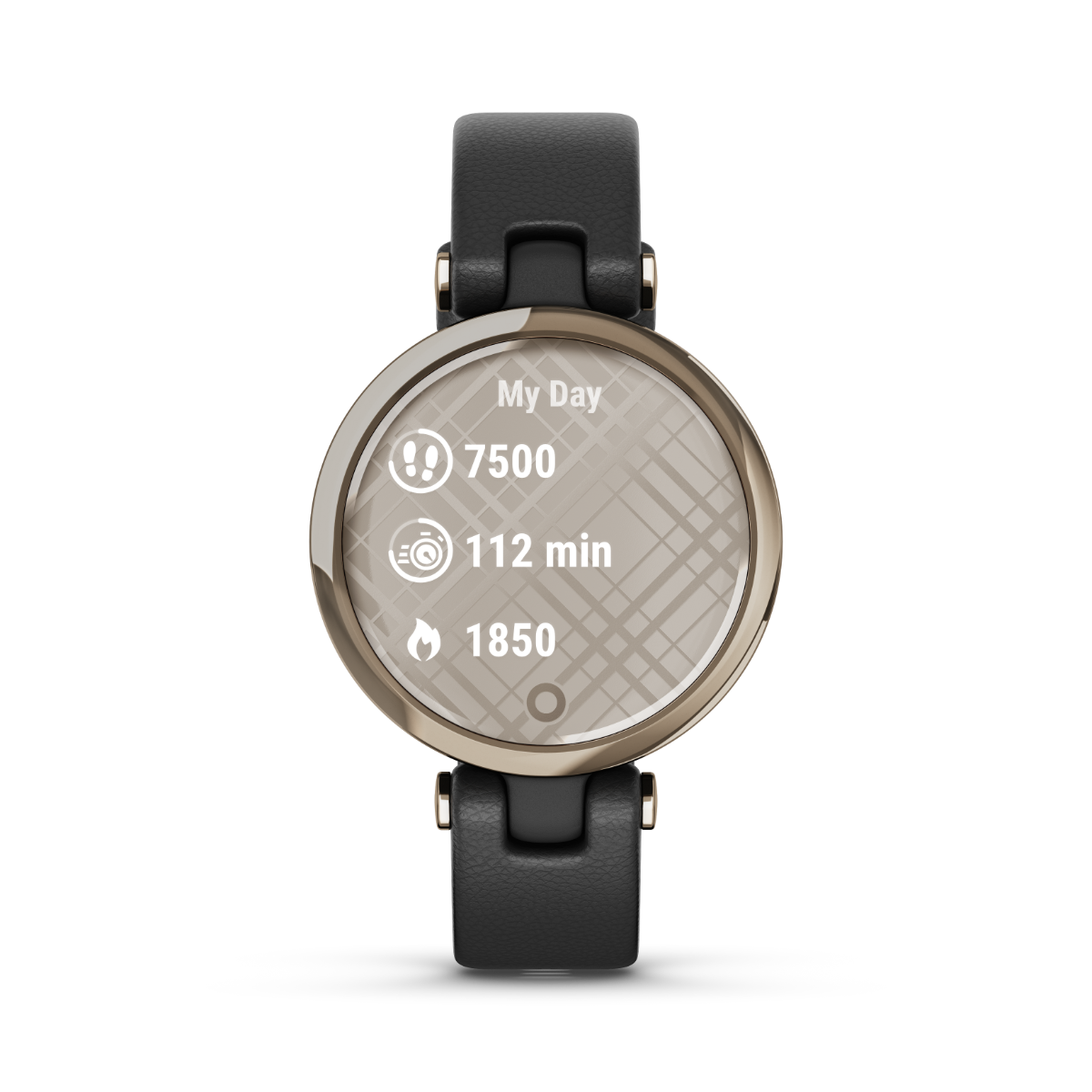 Garmin Lily - Classic Edition Cream Gold Bezel with Black Case and Italian Leather Band