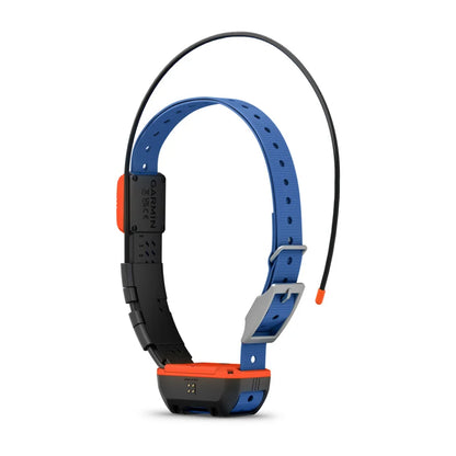 Collar para perros Garmin Alpha T 20, collar de seguimiento GPS para perros (010-02447-00)