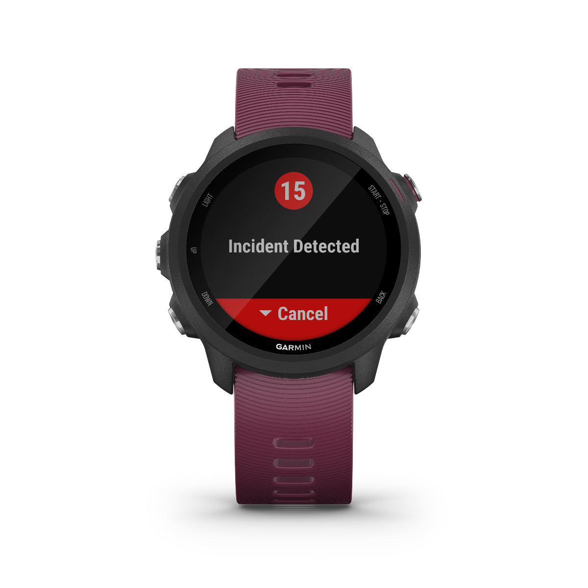 Garmin Forerunner 245, Berry, Premium Fitness GPS Smartwatch for Runners (010-02120-01)