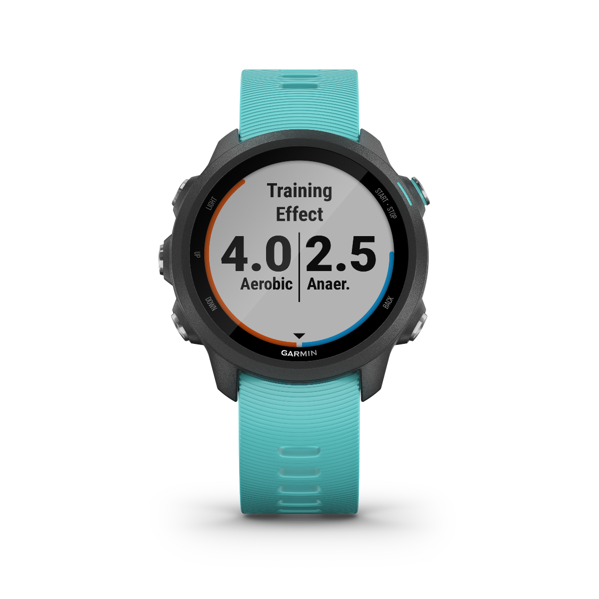 Garmin Forerunner 245 Music, Aqua, Premium Fitness GPS Smartwatch for Runners (010-02120-22)