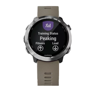 Garmin Forerunner 645 - Grès (010-01863-01)