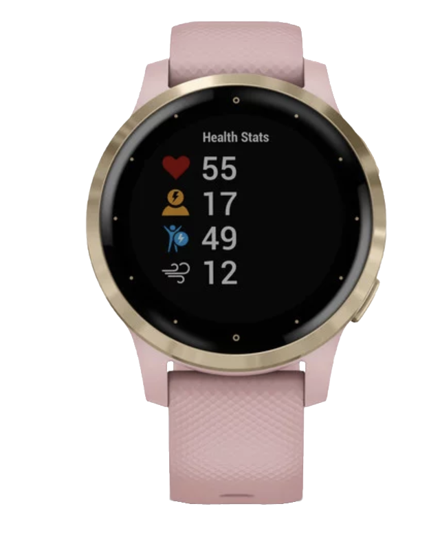 Garmin Vivoactive 4S - Light Gold with Dust Rose Band