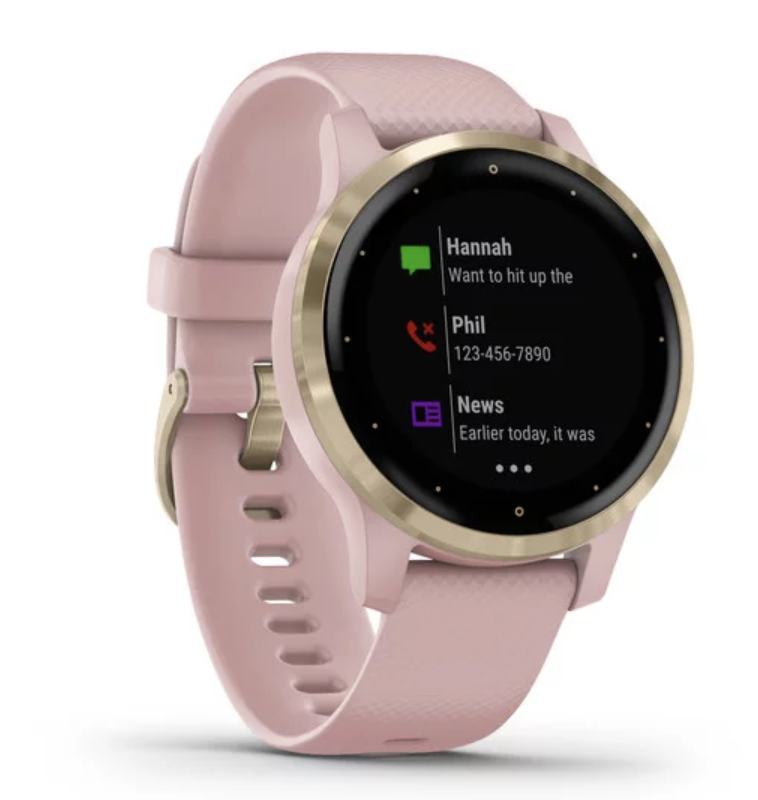 Garmin Vivoactive 4S - Light Gold with Dust Rose Band