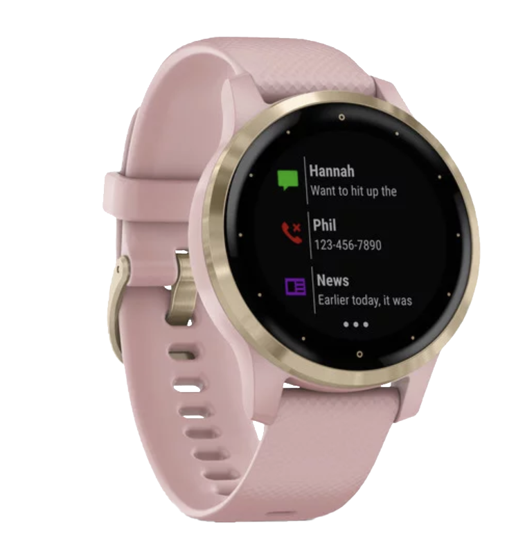 Garmin Vivoactive 4S - Light Gold with Dust Rose Band