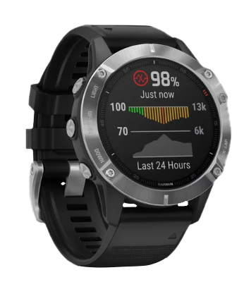 Garmin Fenix 6 Silver with Black Band (010-02158-00)